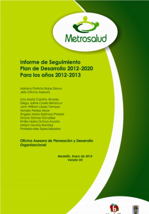 Informe de Gestión 2013