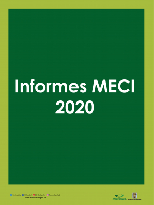 Informes MECI 2020