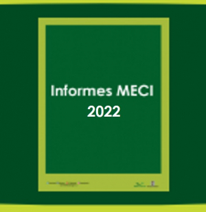 Informes MECI 2022
