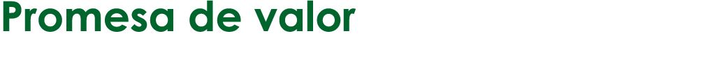 Promesa de valor 
