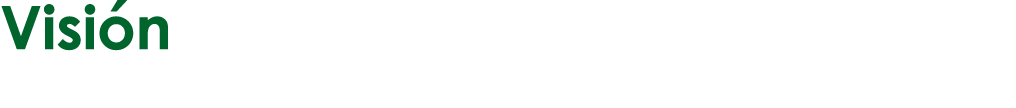 Visión 